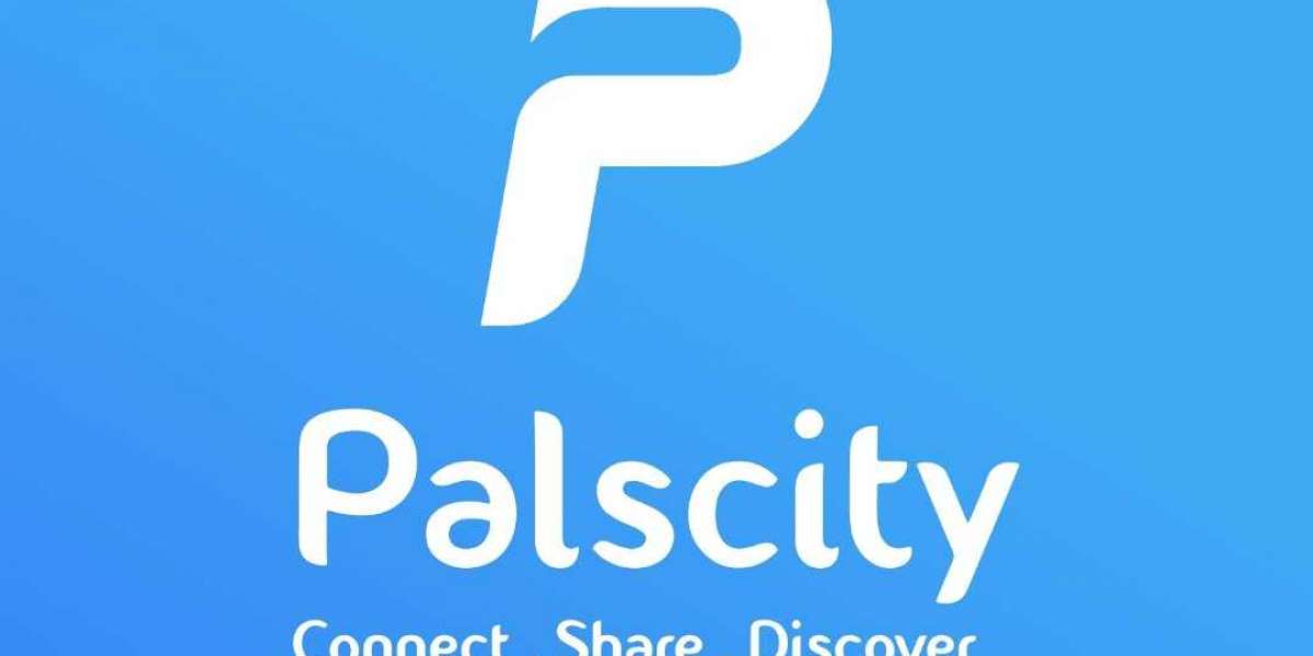 Palscity: Fostering positive Connections!