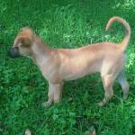 tjaytessy Profile Picture