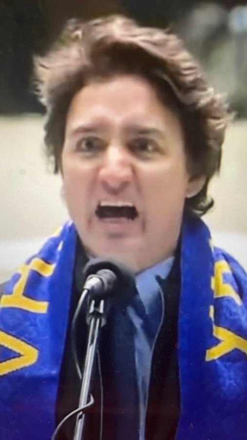 Simon Fitzgerald Profile Picture