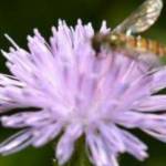 wonsul8 Profile Picture