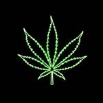 Bo Nke Profile Picture