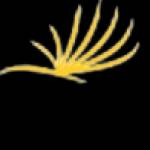 Dandely Limited Profile Picture