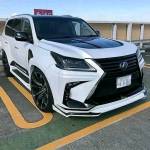 Jose Maish Profile Picture