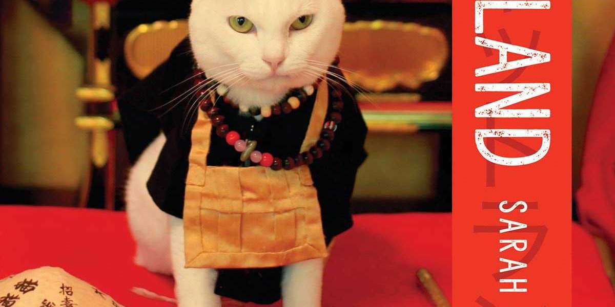 Japan's Fascination With Cats - From Maneki-Neko to Hello Kitty