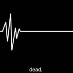 Don Racoon Profile Picture