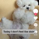 Faithlinnah Profile Picture