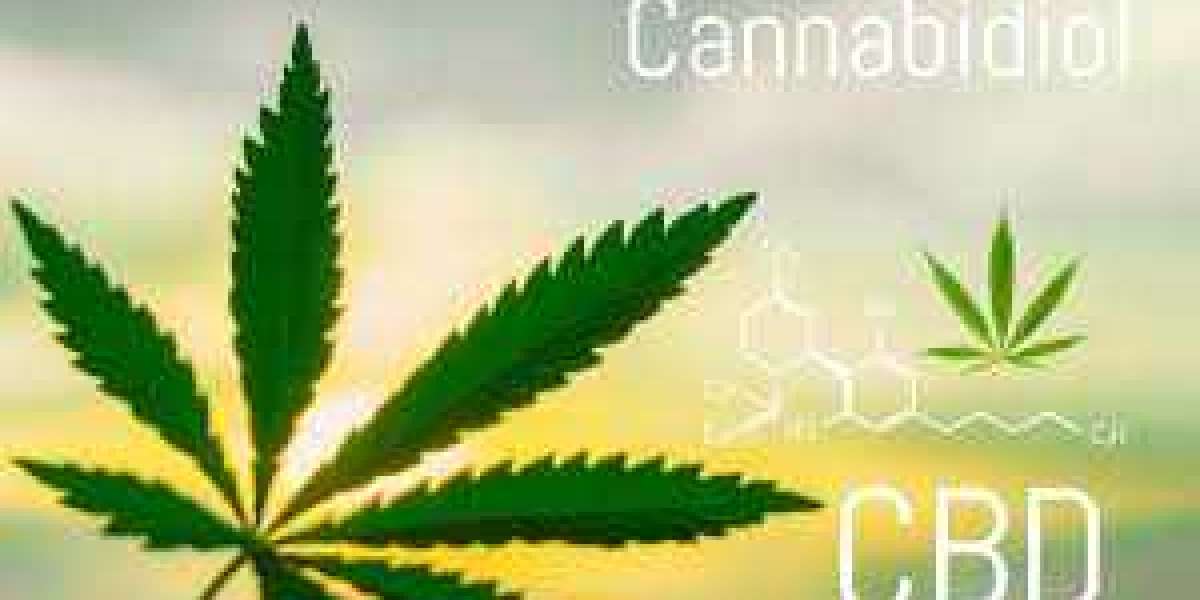 CBD : Le composant non-psychoactif du cannabis qui gagne en popularité en France