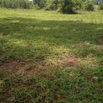 Kuyuni Kunikina Profile Picture