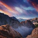 wzfhxj Profile Picture