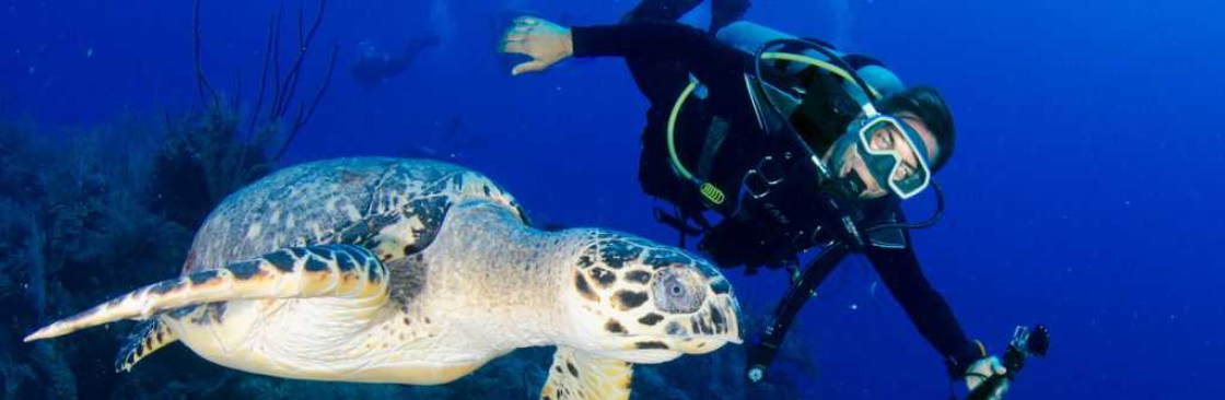 Wyndham Reef Resort Grand Cayman Cover Image