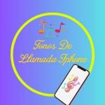 Tonodellamada ip Profile Picture