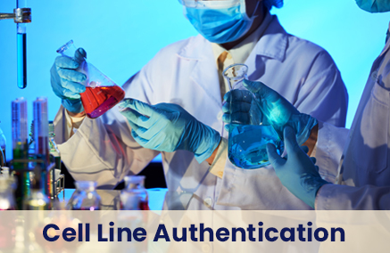 Cell Line Authentication Test in India – DNA Forensics Laboratory