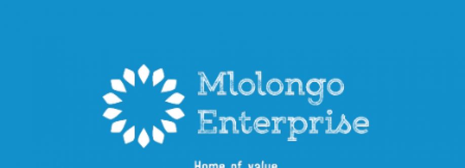 mlolongo enterprises Cover Image