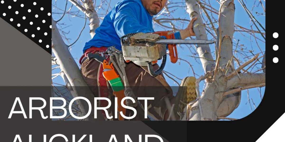 Arborist Auckland