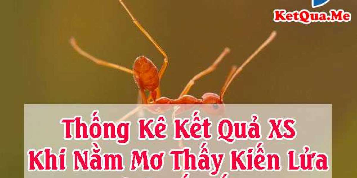 Thống Kê Kết Quả XS Khi Nằm Mơ Thấy Kiến Lửa - Đánh Số Mấy?