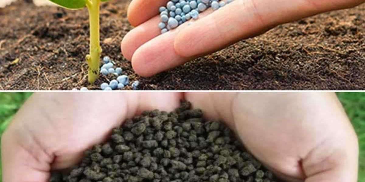 Biofertilizer Manufacturing Plant Project Report 2023: Manufacturing Process, Business Plan, Raw Materials Requirement