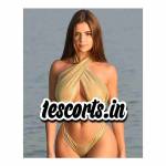 Escorts Amritsar Profile Picture