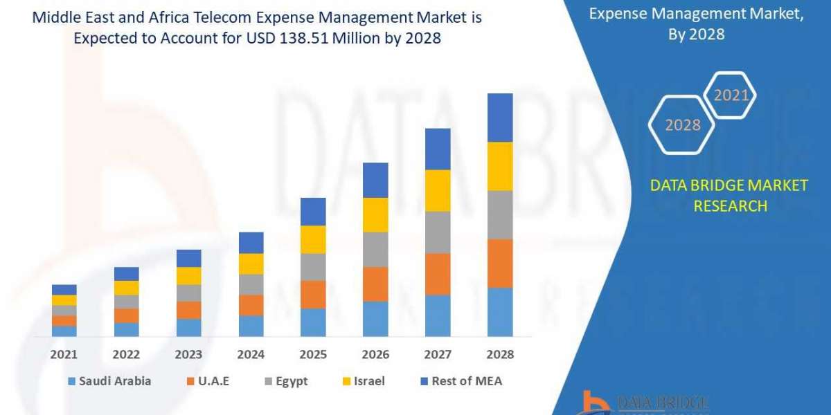Telecom Expense Management in the Middle East and Africa: Market Overview and Growth Opportunities