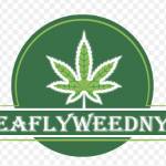 leaflyweed NYC Profile Picture