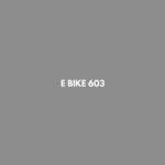 E Bike 603 Profile Picture