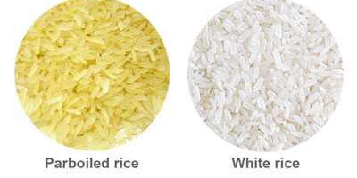 Parboiled and White Rice Processing Plant Project Report 2023: Manufacturing Process, Business Plan