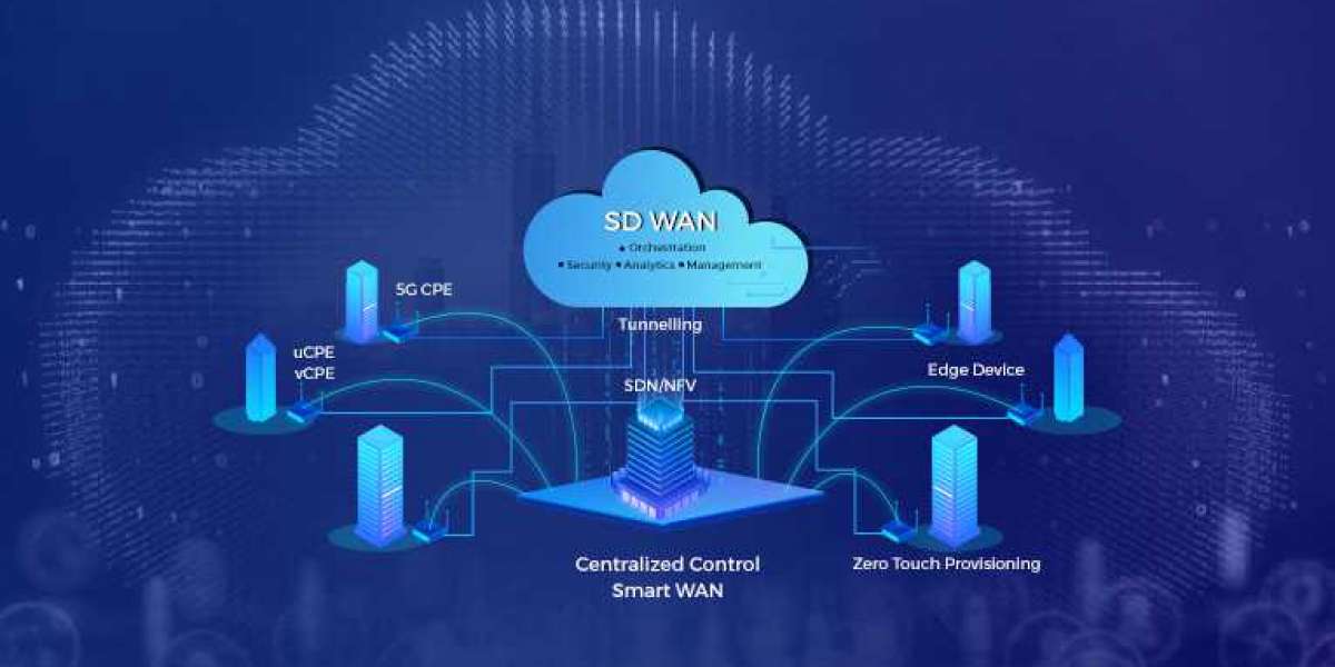 What are the top 5 SD-WAN Vendors?