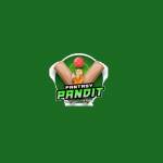Fantasy Pandit Profile Picture
