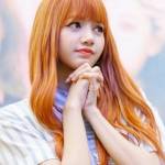 vitecaj vitecaj Profile Picture