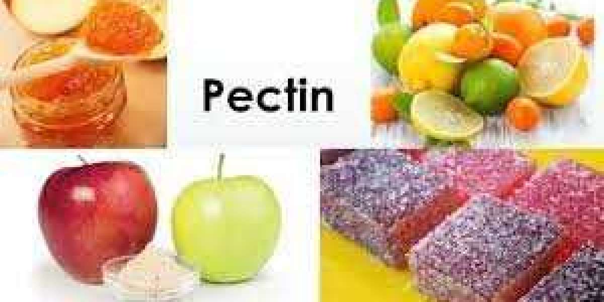 Pectin Manufacturing Plant Project Report 2023: Raw Materials Requirement, Manufacturing Process, Business Plan