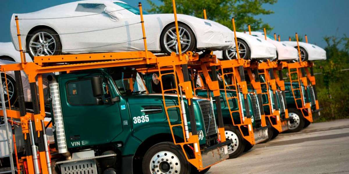 Vehicle Transport in South Africa