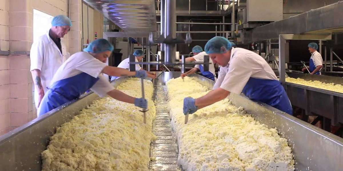 Cheese Manufacturing Plant Project Report 2023: Business Plan, Raw Materials Requirement| IMARC Group