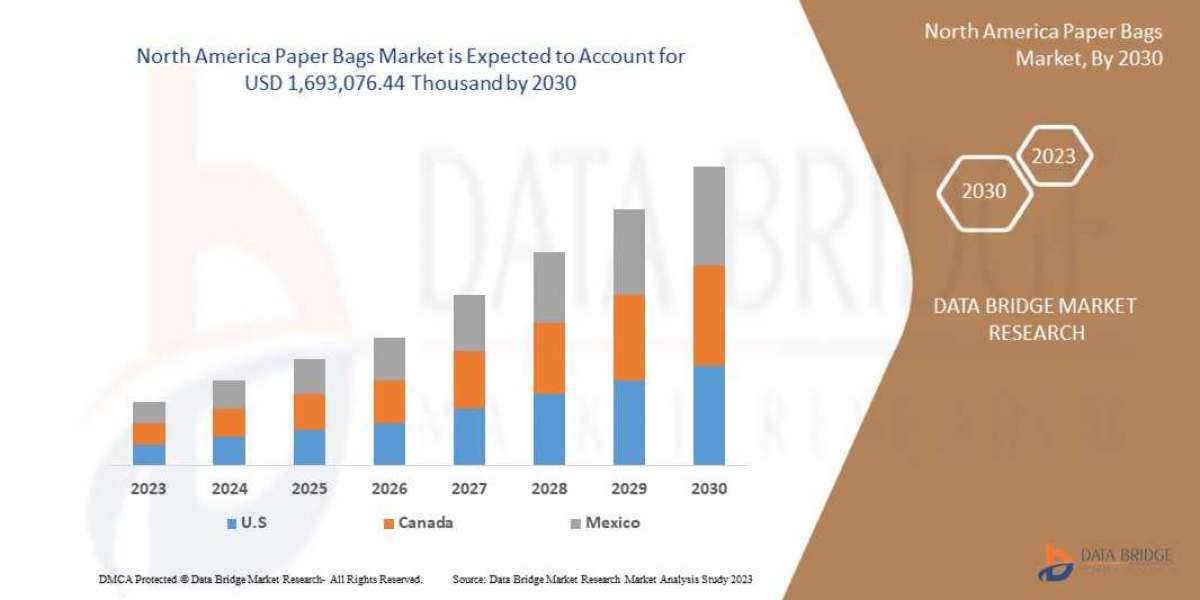 North America Paper Bags Market Analysis: Trends, Growth Drivers, and Future Prospects