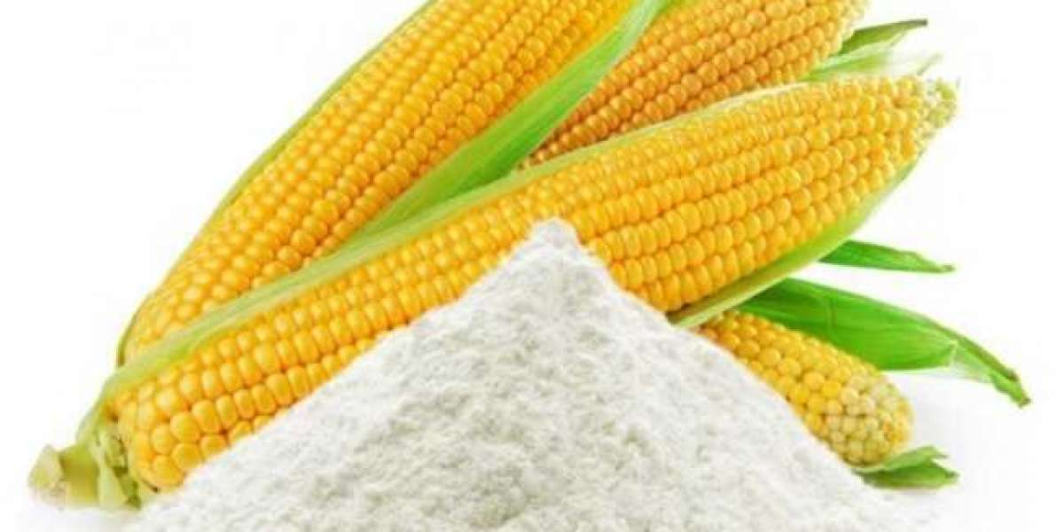 Acid-Modified Corn Starch Market Opportunities and Growth Forecast 2028
