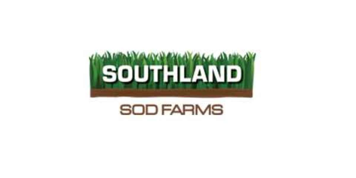 Varieties of SOD for Sale in USA - Southland SOD farms