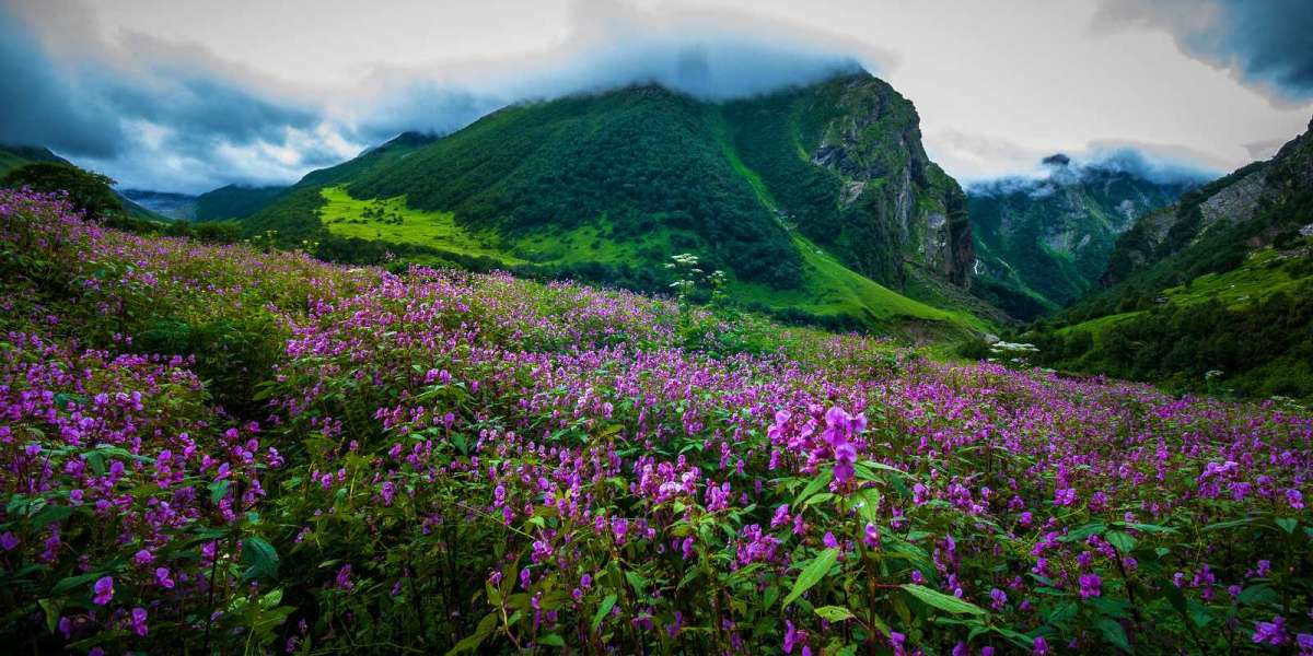 A Trek to Paradise: Exploring the Valley of Flowers