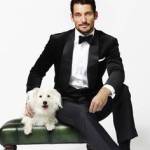 lucky arp Profile Picture