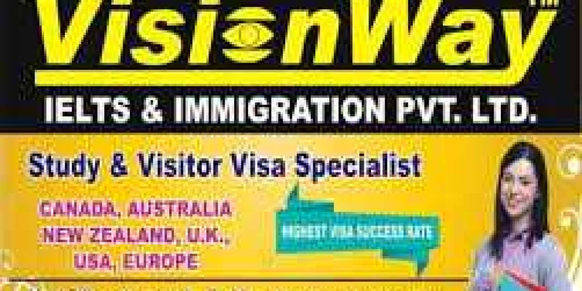 Best Overseas Education Consultant In India - Visionway