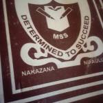 Victor Raph Profile Picture