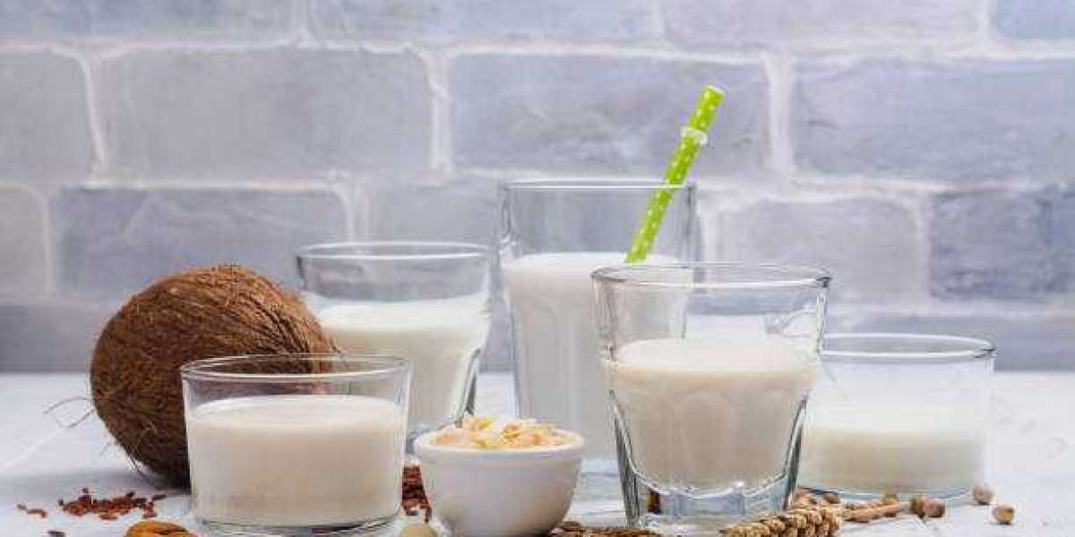 Dairy Alternatives Products Market Insights Trends, Regional Size, Share, Industry Growth, Consumption Ratio