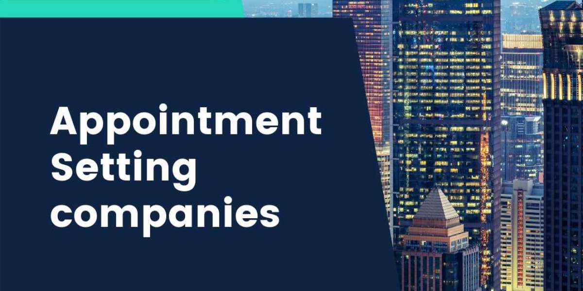 Exploring Canada's Top Appointment Setting Companies