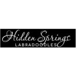 Hidden Springs Labradoodles Profile Picture