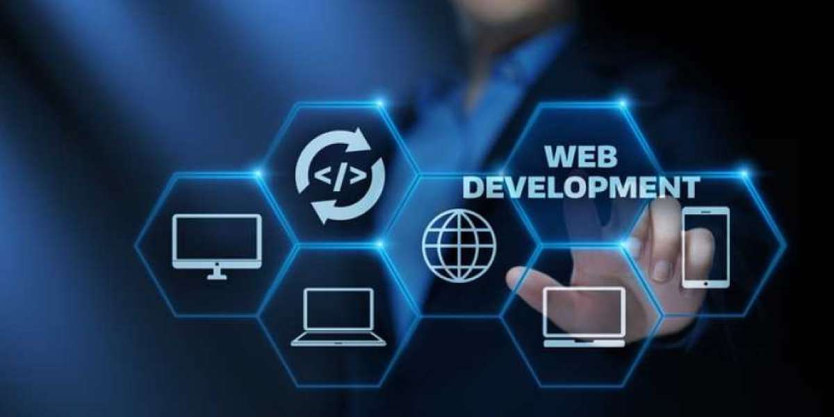 Choosing Between Web Development and Software Development