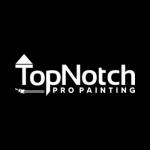 Top Notch Pro Painting Profile Picture