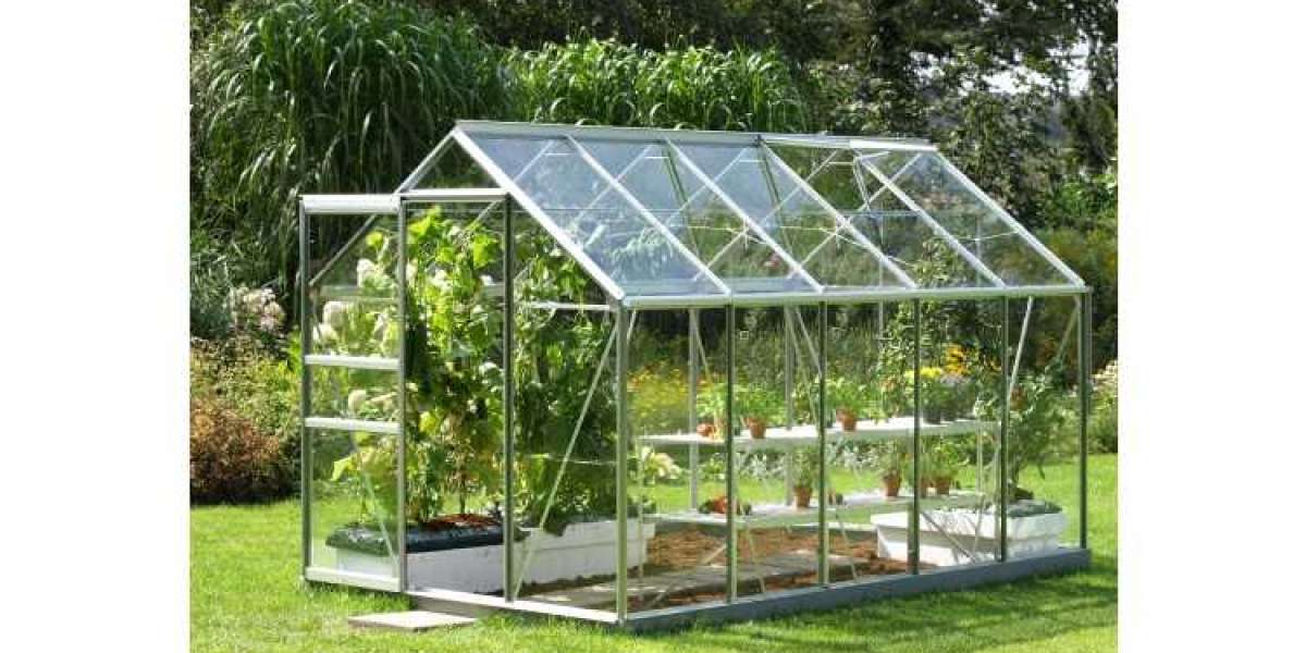 How Greenhouses Are Shaping Agricultural Trends?