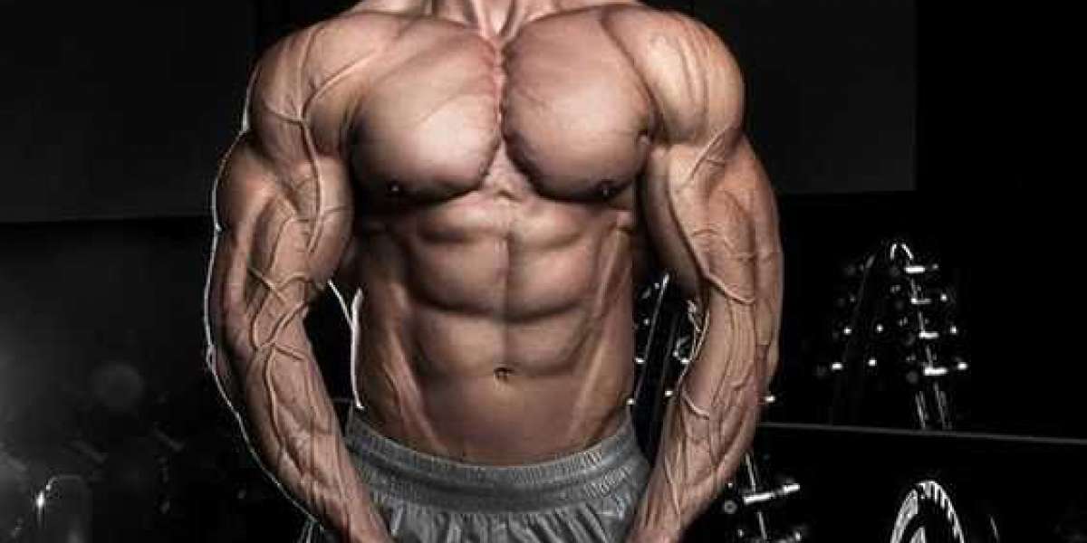 Clenbuterol half life