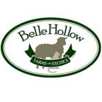 Bello Hollow Farms and Exotics Profile Picture