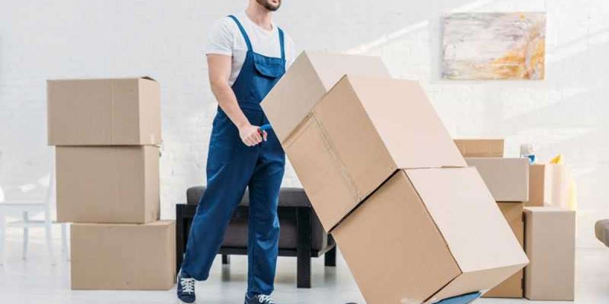 Professional Piano Movers Tampa FL: The Ultimate Guide for a Safe and Hassle-Free Move