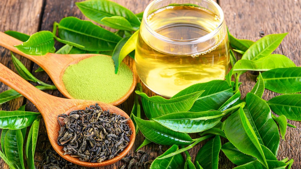 Get the Best Medical benefits of Green Tea | AGM
