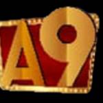 A9play Casino Profile Picture