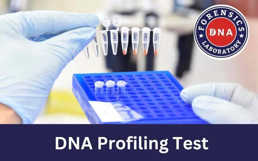 Get to Know the Uses & Applications of DNA Profiling Test | Zupyak